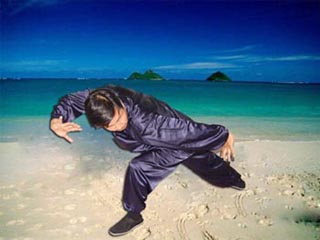 内丹术养生功法十三桩法