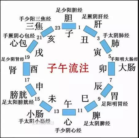 子午流转表