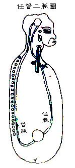 内丹养生功法打通任督二脉